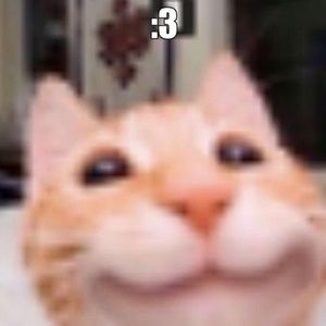 Meet your Posher, Grey